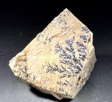 Mangandendriten (Pyrolusit