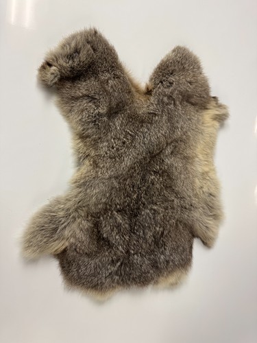 Vintage kojotenfell pelt - vintage,