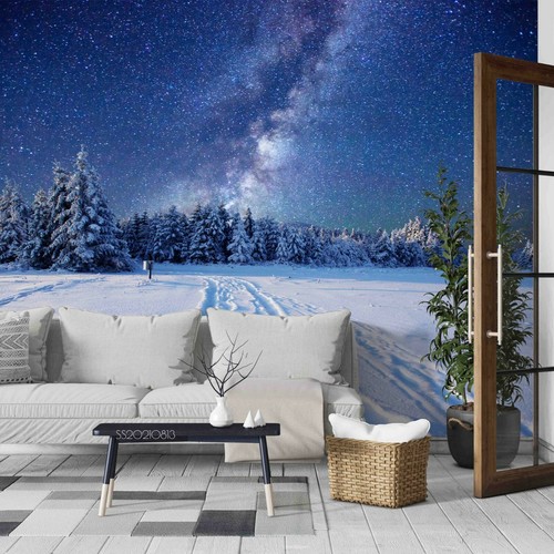 Schnee wald sternenhimmel - schnee,