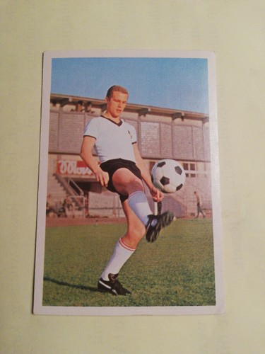 Bergmann 1965 155 kuntz - bergmann,