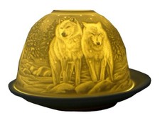 Dome Light Wölfe bei Nacht