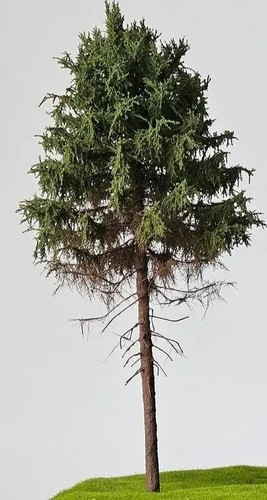 Modellbaum h0 - 🍀,