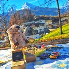Geschenkbox mit murmeltier - geschenkbox,