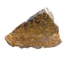 Cyanobakterien stromatolith - cyanobakterien,