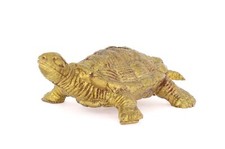 Schildkröte Symbol der Erde