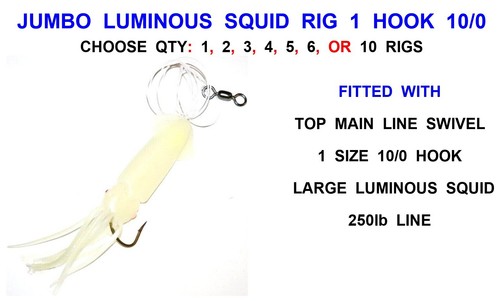 Jumbo luminous squid - jumbo,