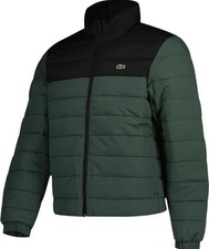 Lacoste Steppjacke Herren