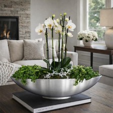 Pflanzschale 2-teilig aus