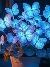 50Pcs Pflanzen Von Pflanzen