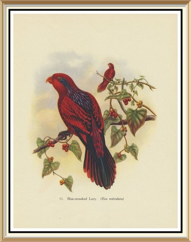 Original 1947 lithographie - 1947,