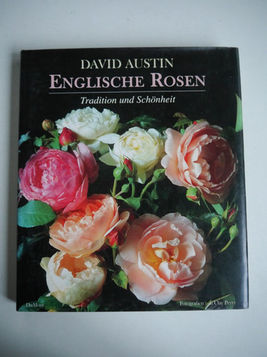 Englische rosen tradition - englische,