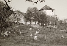 Burg Schloß Gutshaus auf