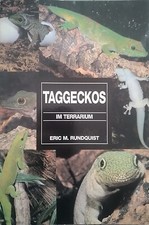 Taggeckos im Terrarium von