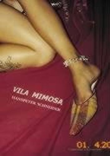 Vila mimosa englischer - mimosa, (in