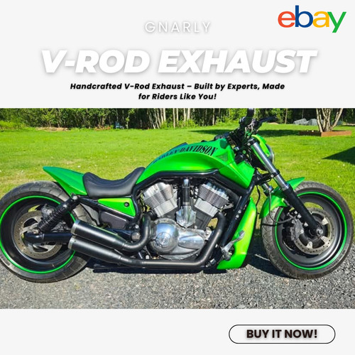 Harley davidson rod muscle - v-rod,