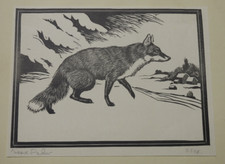 Original Grafik  Druck 1937 "A FOX" – Fuchs signiert –Neave Parker