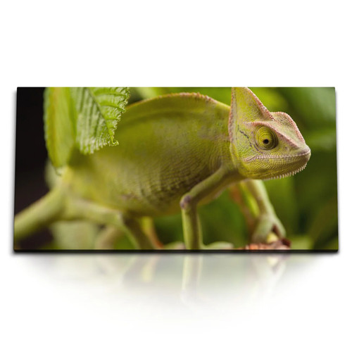 120x80cm kunstdruck bilder - kunstdruck,