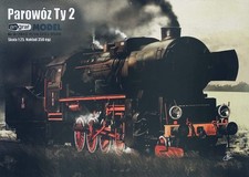 Kartonmodell Polnische