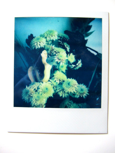 Araki original polaroid - araki:,