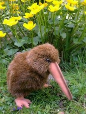 Neuseeland stofftier kiwi - ,