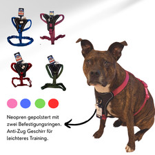 Hundegeschirr lagerverkauf - |, |