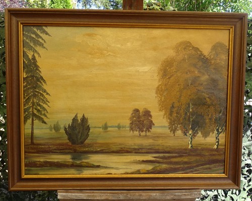 Weite heide landschaft - heide, birken