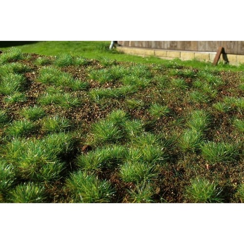 Waldbasis als fertige matte - als,