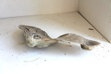 Schwemmholz Treibholz  ❤️