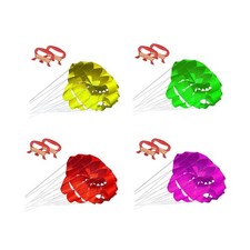 Regenschirm Kite Sport Kite 2