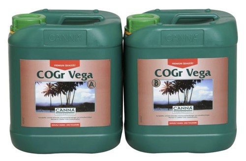 Canna cogr vega - a+b, 10