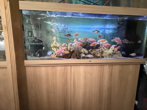 Juwel komplettaquarium 450 - komplettaquarium,