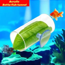 Aquarium Betta Fisch Acryl