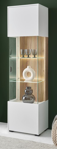 Vitrine vitrinenschrank - vitrine,