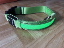 Baldo Hunde Halsband.  Mit