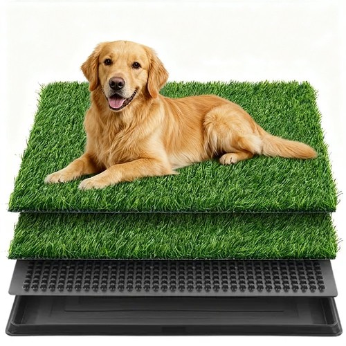 Hundeklo hunde toilette echtem - hundeklo,