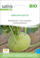 Sativa Rheinau ko51 Kohlrabi weiss Auslese Sehr Früh (BIO Kohlrabisamen)