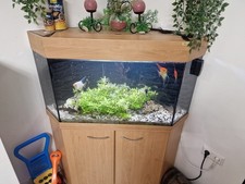 Ich verkaufe ein 180-Liter-Aquarium, komplett mit allem
