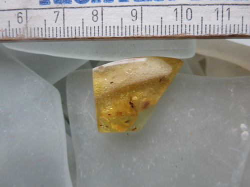 Kopal copal junger - kopal,, bernstein
