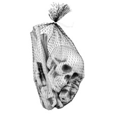 Knochen Menschen Set /