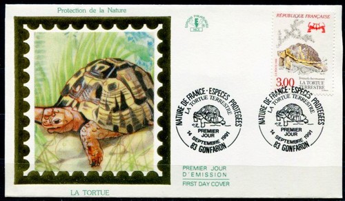 Schildkröte griechische - schildkröte.,