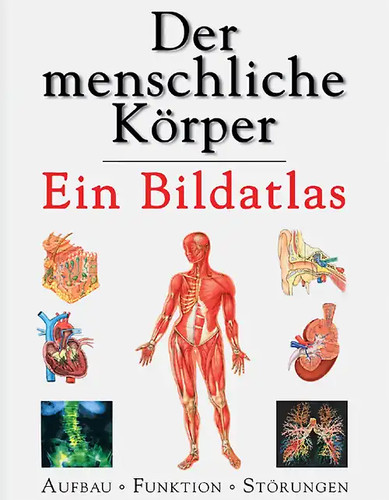 Der menschliche körper ein - der,