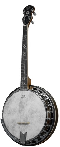 Barnes mullins banjo - mullins,