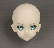 Dollfie Dream Sinon (Head &