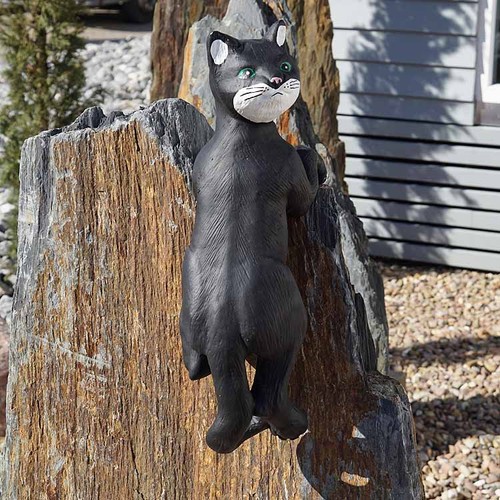 Katze kletternd hängend - kletternd,