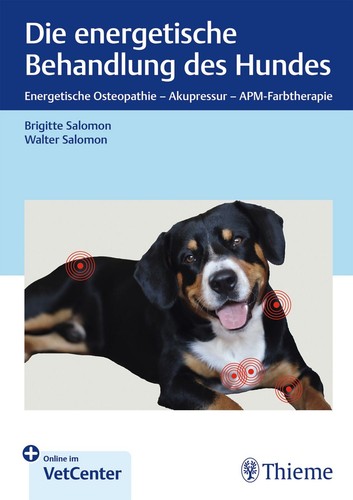 Die energetische behandlung - die,