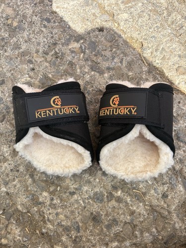 Kentucky brushing boots - boots, hind