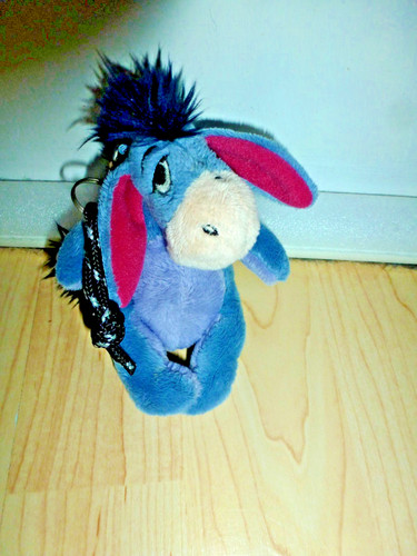 Disney aah - i-aah, (winnie