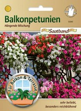 (EUR 1,25/m )  Balkon Petunien