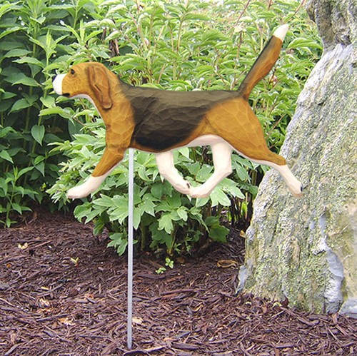 Beagle outdoor garten - beagle,