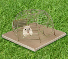 1-4 Korbmausefalle 14x14x5cm